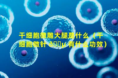 干细胞微雕大腿是什么（干细胞微针 🌵 有什么功效）